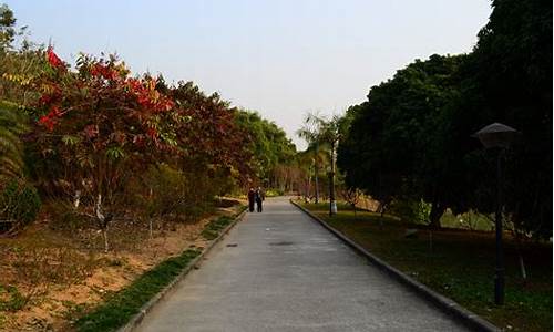 广州龙头山森林公园门票价格_广州龙头山森林公园门票价格图片