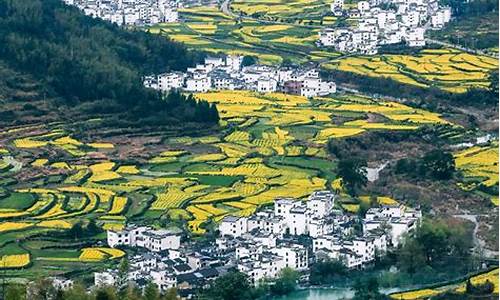 婺源旅游几月份去最好_婺源旅游几月份去最好婺怎么读