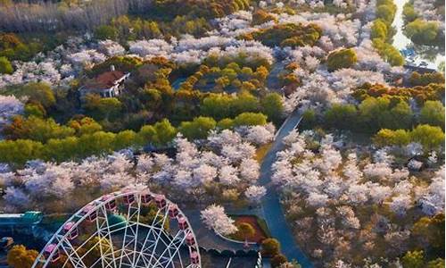 最适合情侣旅游的地方_最适合情侣旅游的地方浪漫