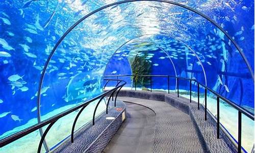 上海海洋水族馆好玩吗_上海海洋水族馆好玩吗现在