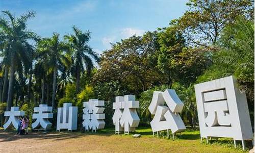 大夫山门票多少钱一张_大夫山门票多少钱一张大夫山线路图