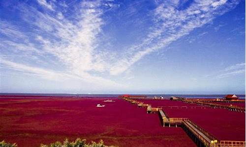 兴城红海滩_兴城红海滩介绍