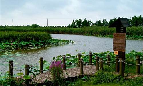 上海崇明湿地公园_上海崇明湿地公园风景